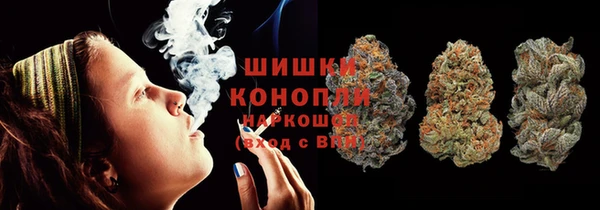 хмурый Новозыбков