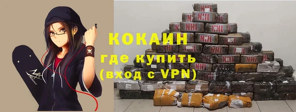 хмурый Новозыбков