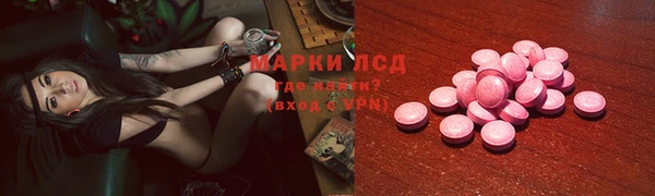 хмурый Новозыбков