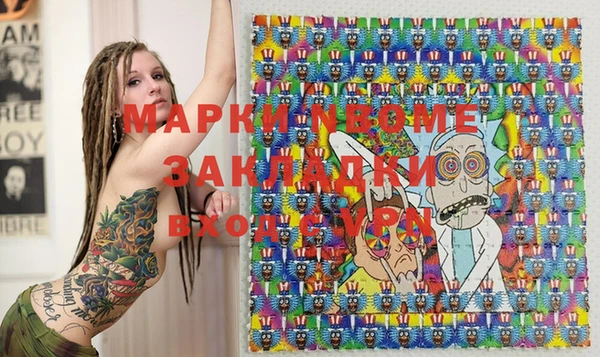 хмурый Новозыбков