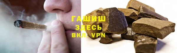 хмурый Новозыбков