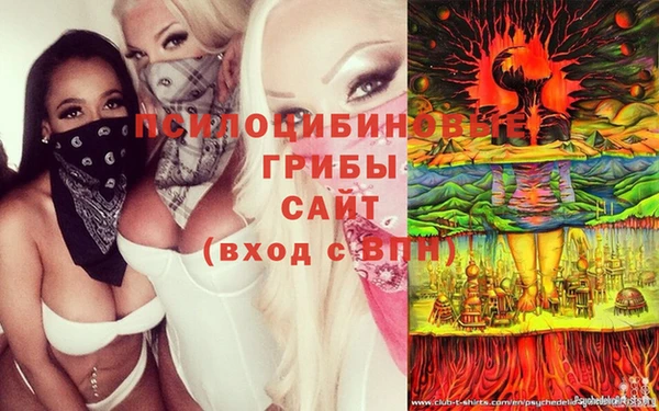 хмурый Новозыбков