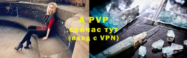 таблы Новодвинск
