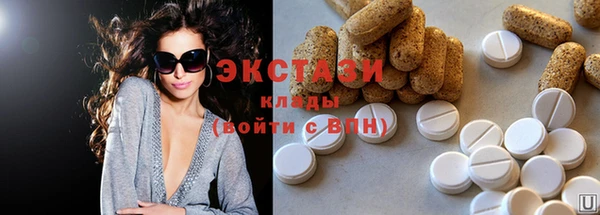 хмурый Новозыбков